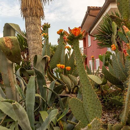 Villa Bellavista I بورتوروز المظهر الخارجي الصورة